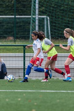 Bild 99 - C-Juniorinnen HSV - Walddoerfer : Ergebnis: 9:1